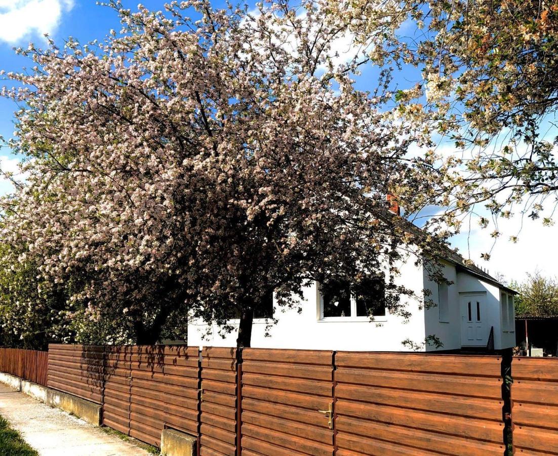 Lali Vendégház Asvanyraro Esterno foto